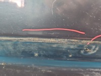 Купить Крышка багажника задний  kia ceed i 06- универсал цвет e2, фото thumb