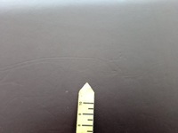 фото thumb №9, Бардачок пассажира porsche cayenne 7p5857095ad