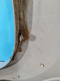 фото thumb №7, Ford ranger lift 09/12 крыло перед передний правый молдинг