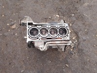 фото thumb №1, Блок двигуна kompletny 1.6 fsi blf