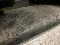 фото thumb №4, Дверь правые передние правые перед skoda rapid 5j 12-