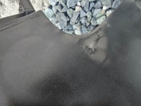 фото thumb №11, Бампер перед передній berlingo partner iii 1.6 hdi #6161