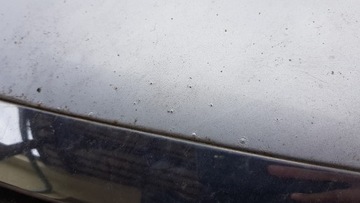 фото thumb №6, Капот kia cerato i hb