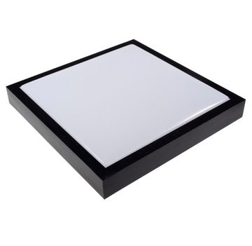 Светильник Настенный потолочный светильник Plafon 2x E27 LED