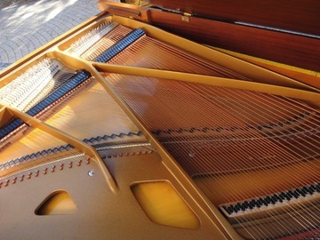 Fortepian dla Konesera Grotrian Steinweg G185 brzmi jak dzwon