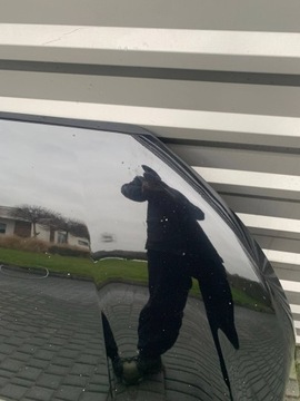 фото thumb №5, Ford ecosport рестайлінг капот кришка двигуна