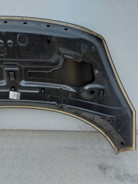 Капот крышка двигателя renault scenic 3 2009- новая оригинальная 651008369r Доставка, фото thumb