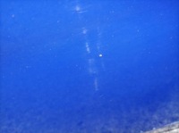 фото thumb №7, Двері ліва задня lv5f hb skoda scala i 2019-