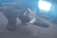 фото thumb №9, Bmw x1 e84 двері правий перед передні