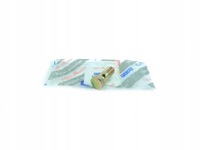 фото thumb №1, Болт з отвір підсилювача punto 93-00