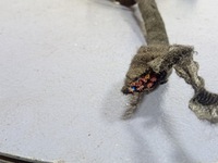 фото thumb №5, Audi a6 c7 штекер разъём дверь зад левая задняя 8k0972701