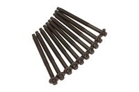 фото thumb №1, 14-32206-01/rnz болты головки citroen 1,4hdi