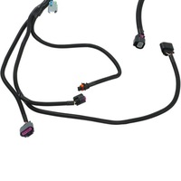 фото thumb №9, Samodzielna джгут трубопровід двигуна замінник