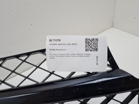 фото thumb №13, 2015 bentley flying spur нижня решітка бампера передній 10146559