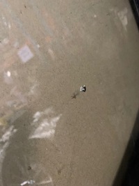 фото thumb №5, Идеальная стекло перед лобовое audi a6 c8 21r. 1