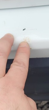 фото thumb №14, Бампер зад kpl 4xpdc mazda cx5 cx-5 код кольору a4d 2012-2015r варшава