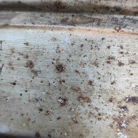 фото thumb №8, Гасник porsche cayman 987 98711351230 32577188 3.4l 235kw 2011