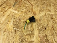 фото thumb №5, Датчик удара ударный штекер vw skoda seat audi 5q0959651