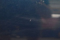 фото thumb №6, Двері ліві перед передні morskie mazda 5 1 i cr 05-08