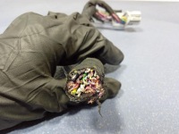 фото thumb №4, Ford mustang mach-e колодка штекер стойка дверь левый перед