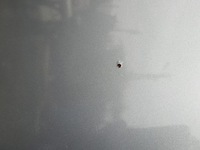 фото thumb №12, Капот кришка двигуна решітка решітка радіатора засув омивачі audi a4 b5 8d0 срібна