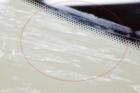 фото thumb №5, Bmw i3 i01 електрична задня ліва скло бічна 7288191 43r-006723 2020