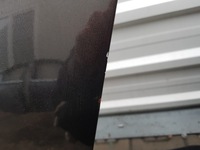 фото thumb №6, Nissan juke i f15 10-19r двері ліва задня kaxg