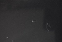 фото thumb №8, Двері праве задня задні сірі mazda 2 ii de 5d hb 07-10