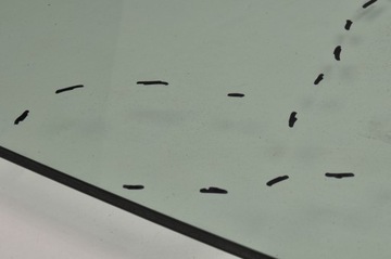 фото thumb №12, Peugeot 3008 ii скло права передня подвійна 24r