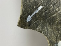 фото thumb №9, Стеля короткий кабіна dodge ram 1500 2019+