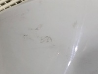 фото thumb №3, Спойлер задня chrysler pacifica minivan спойлер