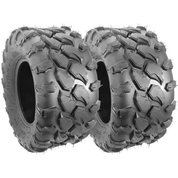 2x ШИНА 22x10-10 255/60-10 46F квадроцикл QUAD BASHAN