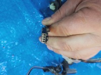 фото thumb №7, Opel-części insignia a джгут двері ліва перед eu