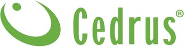 СТРОИТЕЛЬНАЯ БЕТОНОМИКШЕРА ЧУГУННЫЙ ВЕНОК CEDRUS BT220 220л