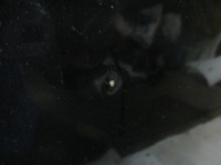 Капот ford c - max 03-07r Оригінал, фото thumb