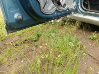 фото thumb №8, Skoda octavia 2 ii lift 08-12r дверь левая перед lf8l