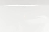 фото thumb №8, Bmw i4 g26 крыло передний левый перед оригинальный крышка цвет a300 300