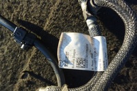 фото thumb №6, Шланг топлива 3.0b quattroporte ghibli levante