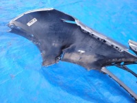 фото thumb №11, Lexus nx i 1 | бампер перед передній 52119-78010 | 0276