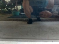 фото thumb №10, Subaru impreza iii 3 gh двері праве передні правий перед повний