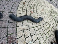 фото thumb №1, Шланг__ waz__ mazda 5___