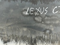 фото thumb №15, Lexus ct 200h 14-18 задний бампер