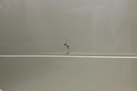 фото thumb №8, Smart fortwo ii 451 07r- двері праве передні ear