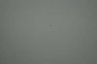 фото thumb №7, Двері ліва лівий перед audi r8 420 ly9c org lak