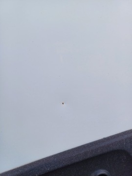 фото thumb №4, Двері ліві mercedes actros mp4 білий комплектні