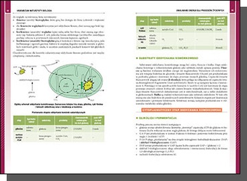 Vademecum Matura BIOLOGY 2022 Matura GREG