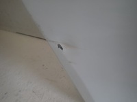 фото thumb №3, Двері праве задні задня skoda rapid 5j spaceback 12-