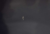 фото thumb №6, Двері ліва задня задні vr.422 lancia delta 3 iii 5d hb 08-14