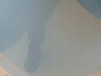 фото thumb №6, Крила правий перед renault laguna ii