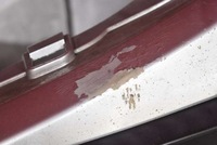 фото thumb №7, Бампер перед передній сріблястий mazda 6 2 ii gh lift 07-12